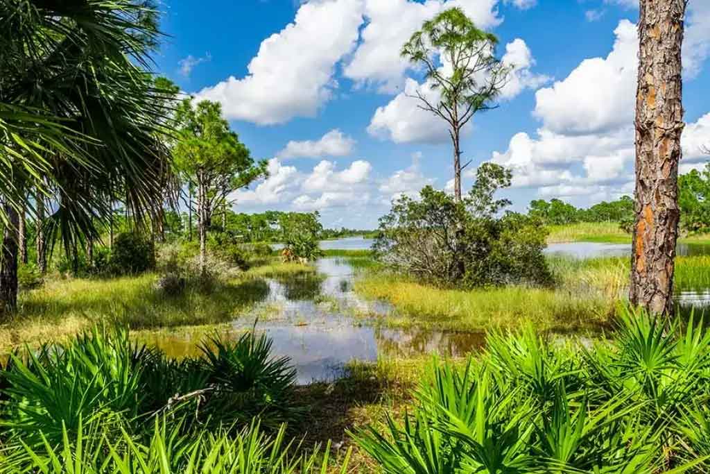 Punta Gorda