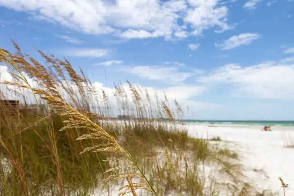 Sarasota