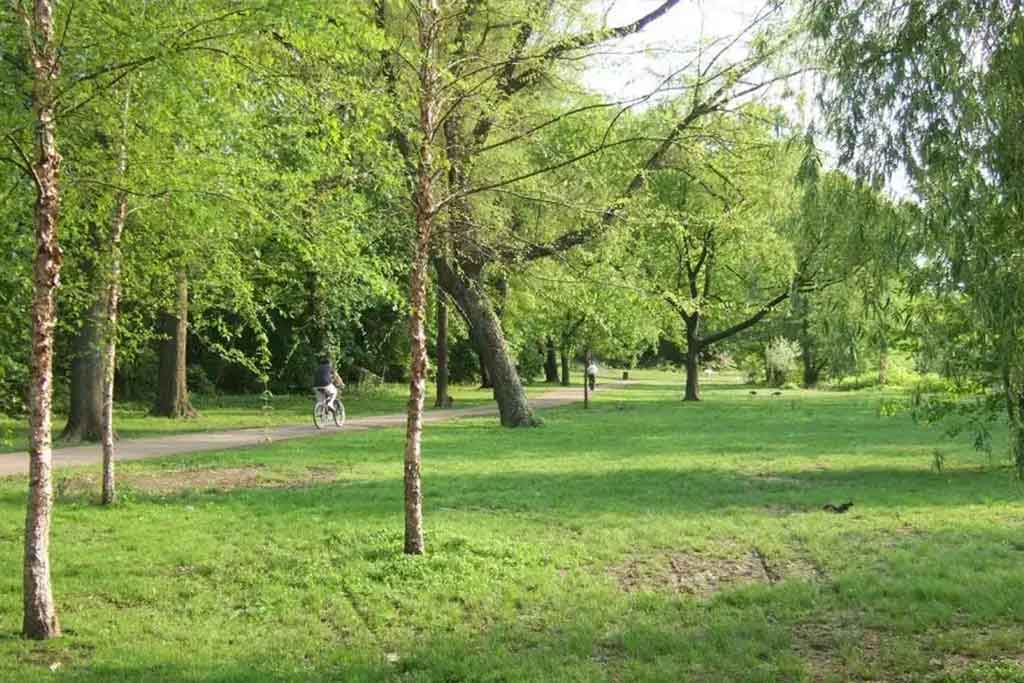 Bronxville private jet charter