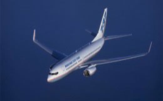 Boeing 737-700private jet charter