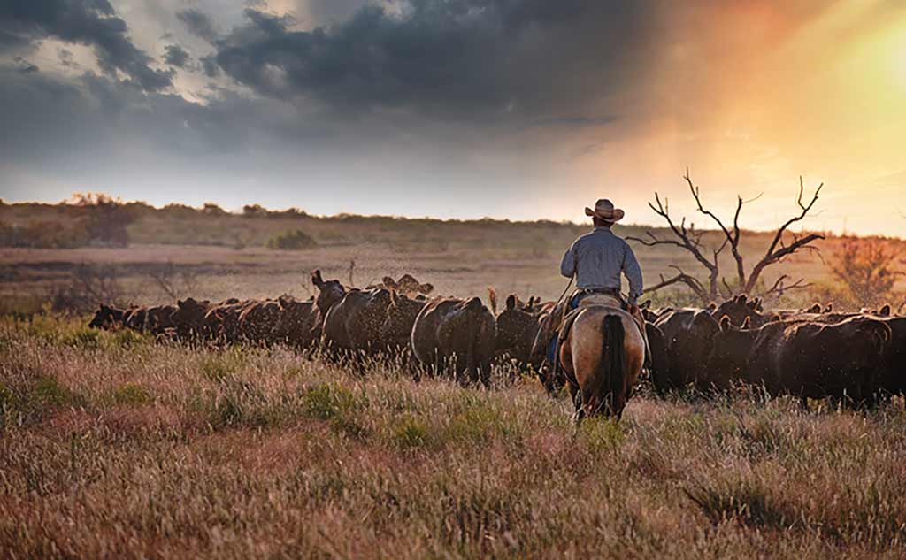 Texas